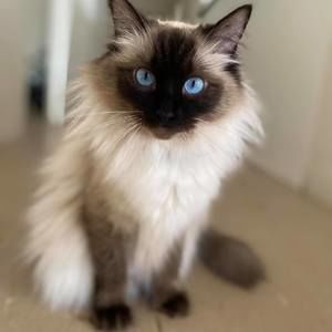 Meet your Posher, Tia